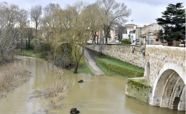 Castilla y León registra más de 1.100 incidencias por el temporal y activa la alerta INUNCYL en Zamora por riesgo de inundaciones