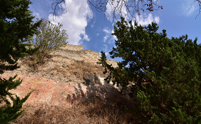Una ancianita coqueta llamada Zamora