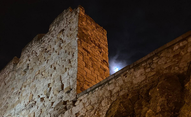 ¿Dónde habitan nuestros poetas e intelectuales?