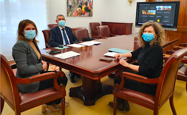 Momento de la reunión telemática