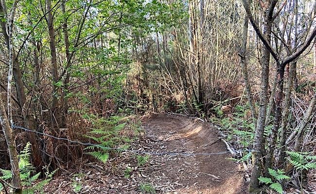 Fotografía: Biela E Chaveta