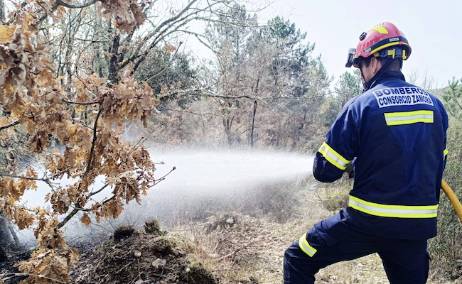 Rápida actuación del Parque de Bomberos Tierra de Aliste evita la propagación de un incendio junto a la ZA-P-2437