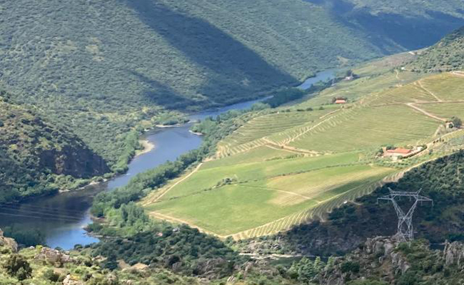Niños del Sagrado Corazón de Jesús pintarán los Arribes del Duero en la Marina