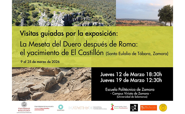 Visitas guiadas a  la exposición 
