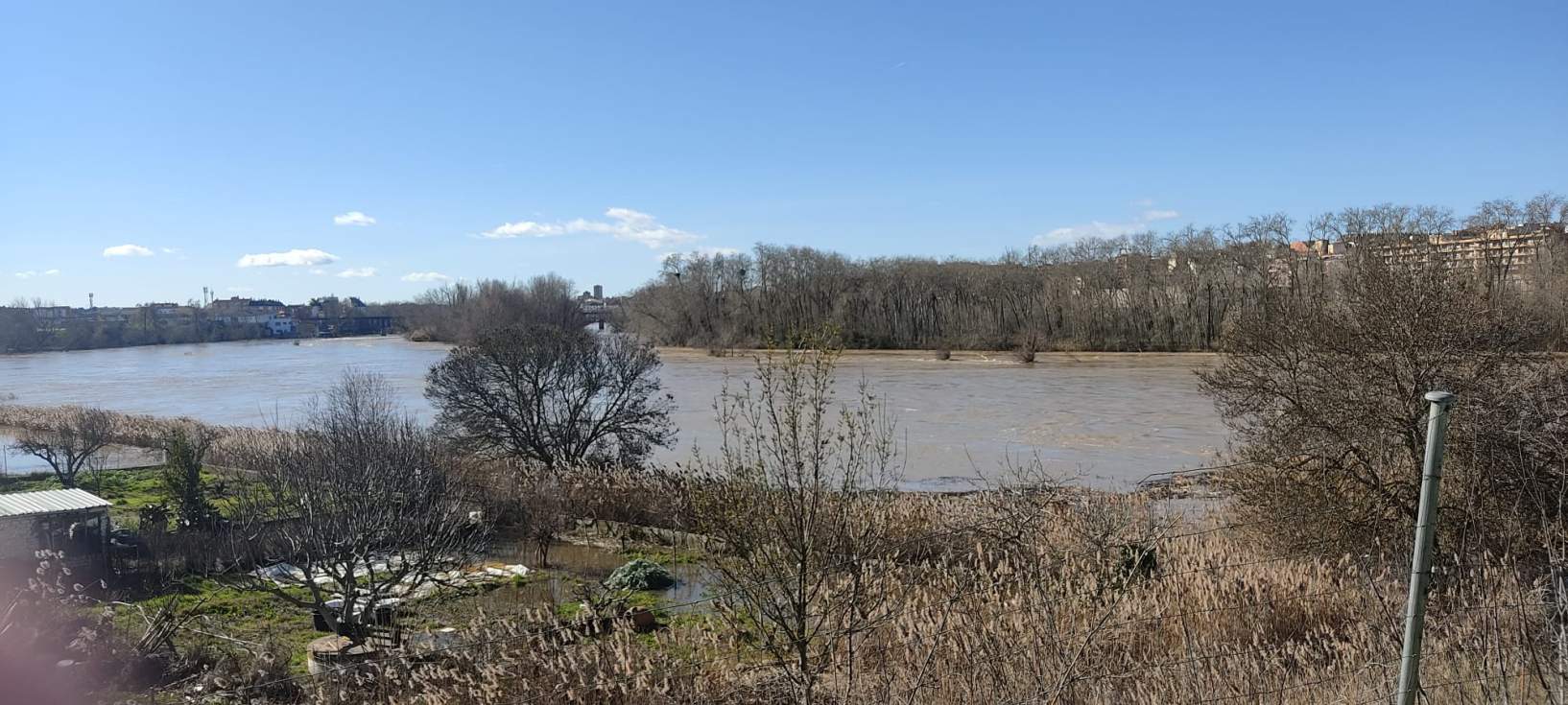 Zamora quiere que la quieran