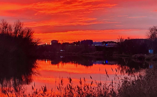Zamora es un sueño, y...duerme