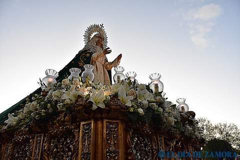 Cofradía del Jesús del Vía Crucis