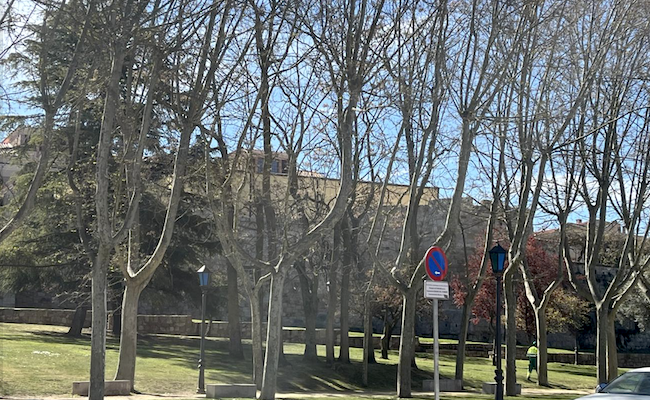 Guarido elogia la rápida actuación de los servicios de limpieza tras el botellón de San Martín