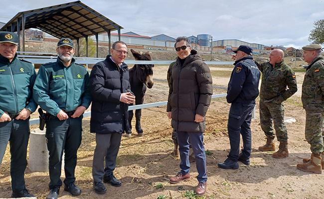 Los subdelegados del Gobierno de Zamora y Ávila visitan el Centro Militar Caballar abulense