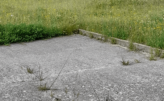 Fuente: Ciudadanos Zamora.