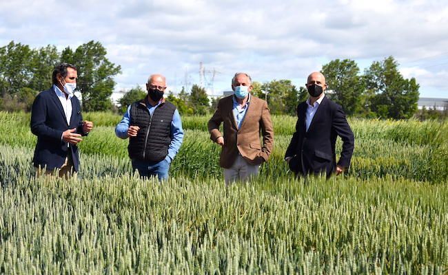 Presentación, junto a Anove, de los resultados de ensayos agrarios