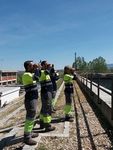 Avistamientos en las instalaciones de Aquona, previos a la pandemia