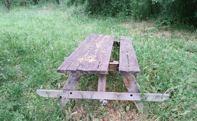 Si pones la merienda, la comes en el suelo