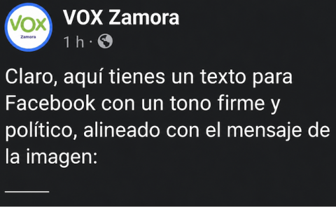 VOX Zamora descubre el secreto mejor guardado de sus mensajes en redes: la IA