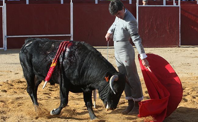 Durán, toreando al natural (Javier F. Blanco)