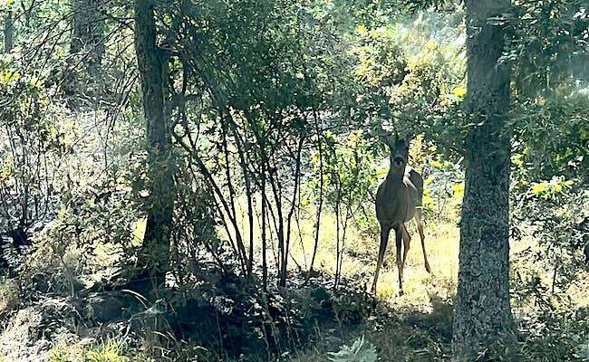 Fotografías de Mari Maldonado