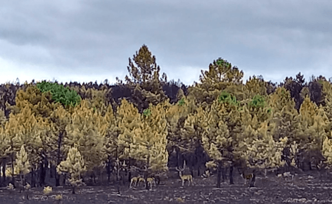 Fotografía: Mari Maldonado