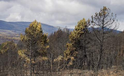 Fotograf&iacute;a: &Oacute;scar (bombero forestal)