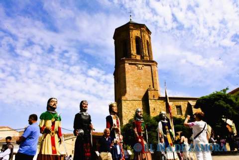 Villarrín de Campos, Día de la Provincia