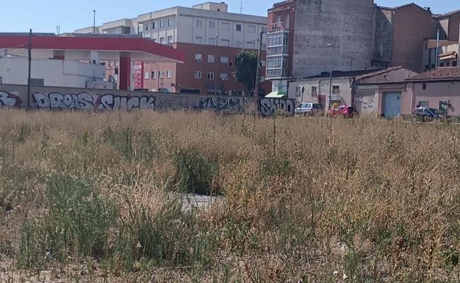 El Ayuntamiento aprueba nuevas bases para la  constitución de bolsas de trabajo