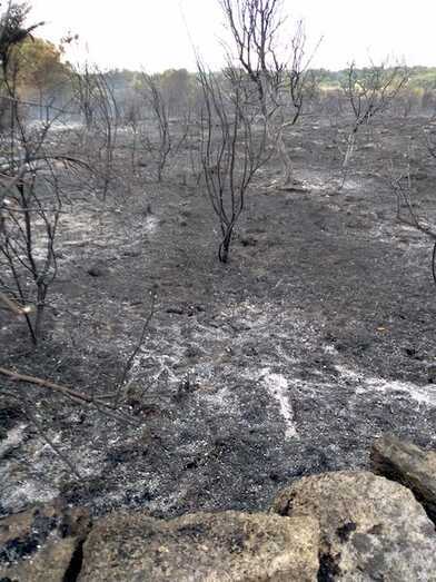 Consecuencias del incendio de Gáname