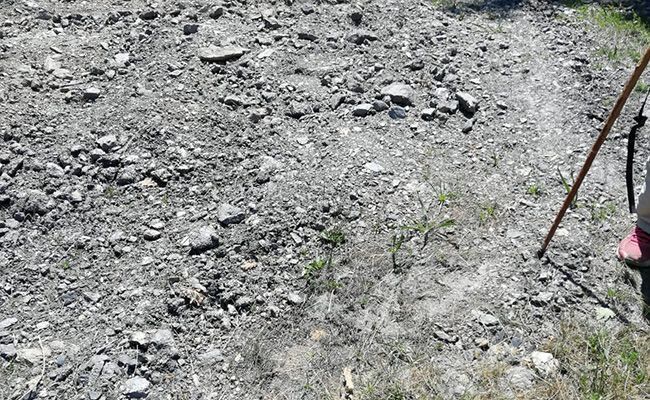 Detalles en el camino de Calabor