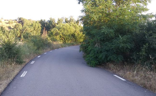 Manuel Herrero Alonso