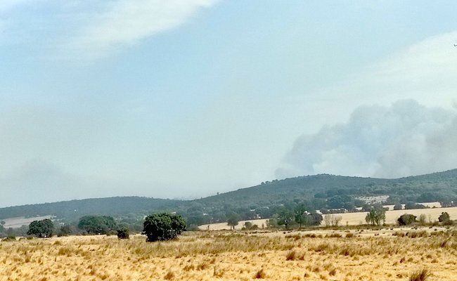 Desde Olmillos de Castro, la imagen del incendio forestal cuando llegaron los Bomberos de Valladolid