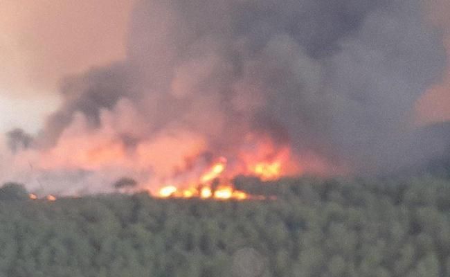 Imagen desde Ferreras de Abajo (Naturaleza CyL)
