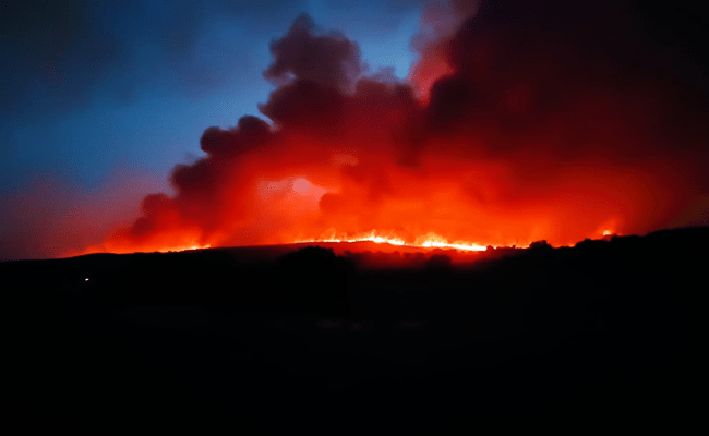 Fotografía de Amaia Arias, desde el Molino de Tábara