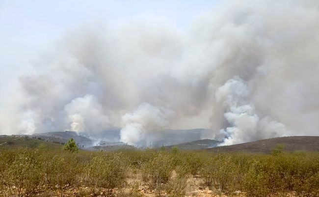 Imagen del incendio de Roelos de Sayago (INFOCYL)