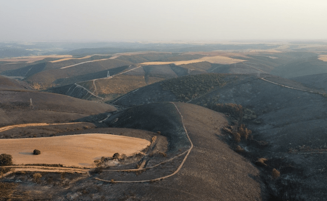 Aitor Prieto Aguirre