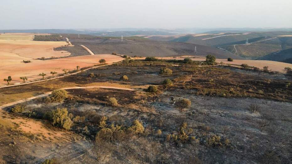 Aitor Prieto Aguirre