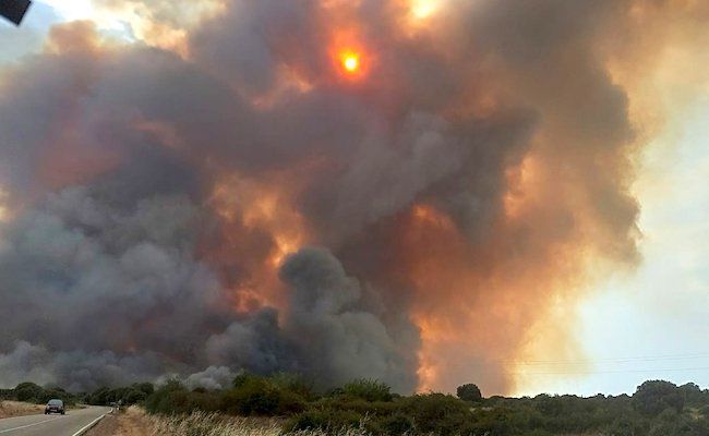 Imagen del incendio de Losacio (INFOCYL)