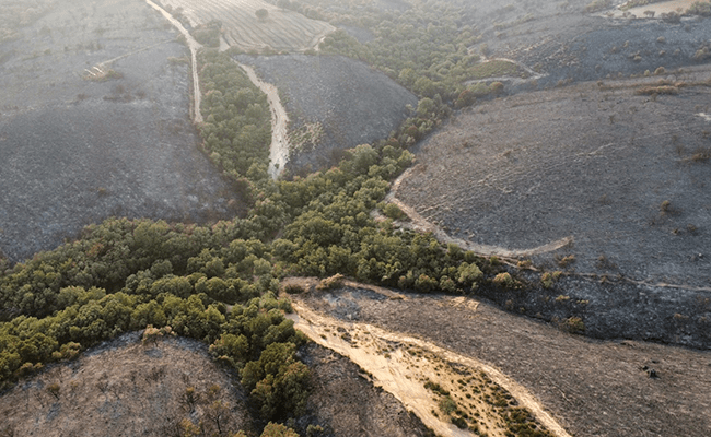 Aitor Prieto Aguirre