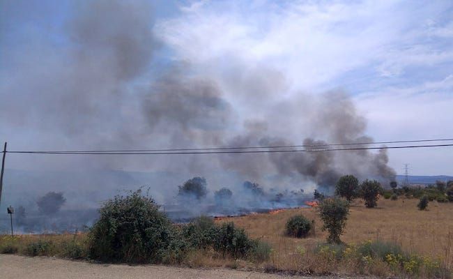 Fotografía: Lucas Ferrero Casado