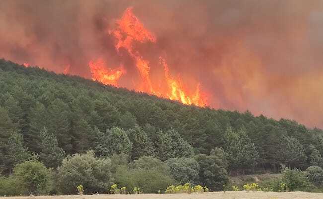 Incendio Losacio (Richi Tavares Ruiz)
