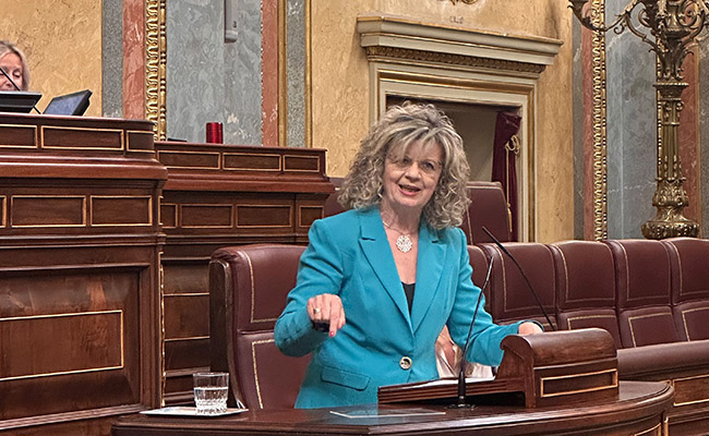 Elvira Velasco acusa al Gobierno de ser incapaz de solucionar los problemas de la Sanidad
