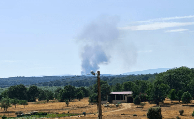 Imagen del incendio de Asturianos en sus inicios (@INFOCYL)
