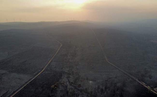 Fotografía: Aitor Prieto Aguirre
