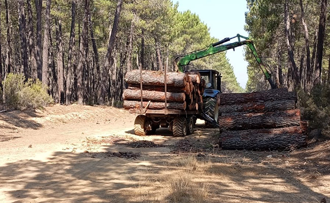 Zamora Viva denuncia el uso de maquinaria forestal en el monte de Perilla