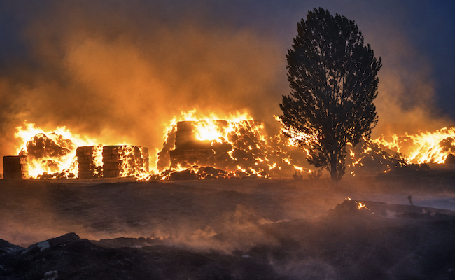 Tras los incendios