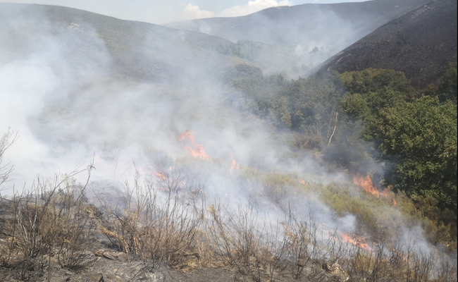 Todos los frentes del incendio de Hermisende, estabilizados: 