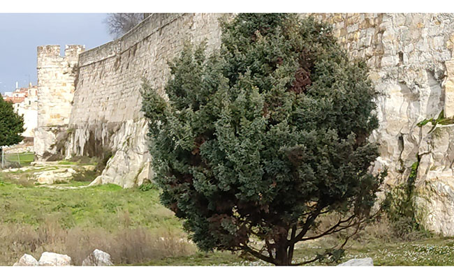 Las dos murallas de Zamora