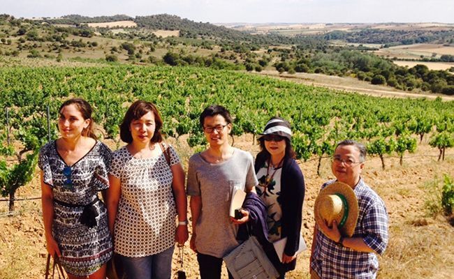 Finca volvoreta (Sanzoles) D.O. Toro