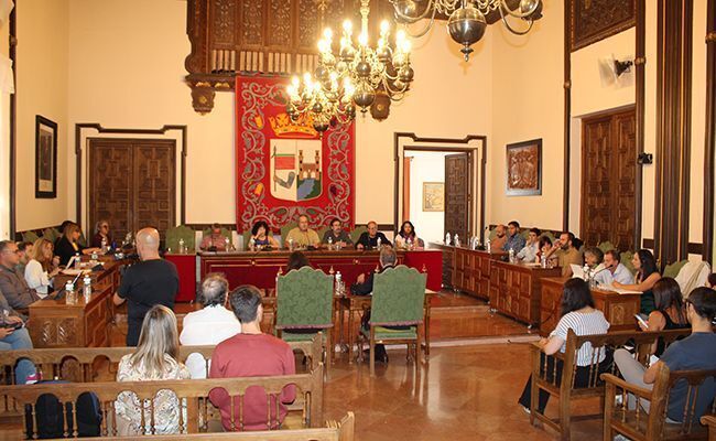 Imagen del pleno municipal