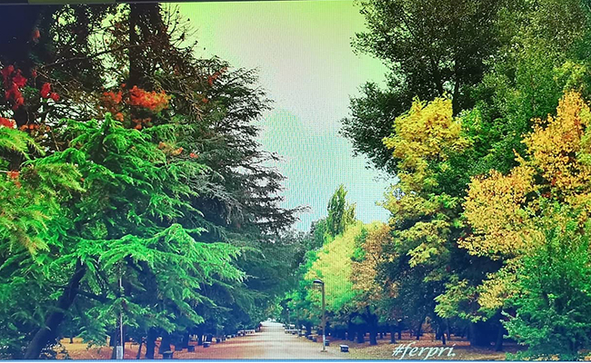 Zamora, la ciudad otoño
