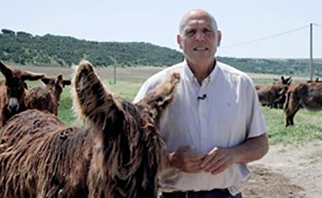La Asociación Nacional de Criadores de la Raza Asnal Zamorano-Leonesa, Premio Bienestar Animal de Colegio de Veterinarios de Madrid