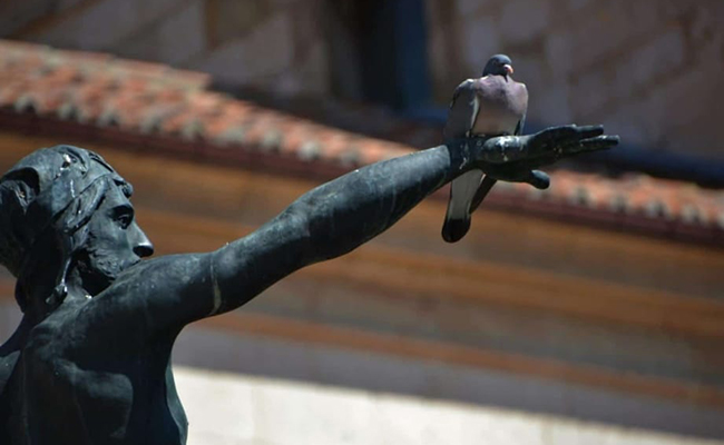Conformarse en Zamora es otra forma de felonía