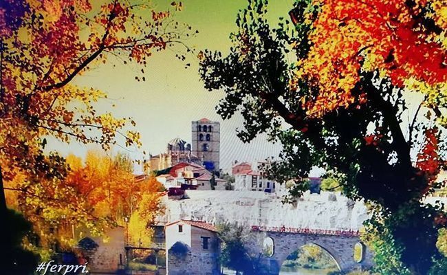 FERPRI